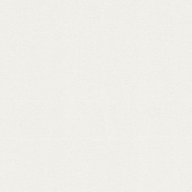 93676-1 Attractive 2 Wallpaper by A S Creation