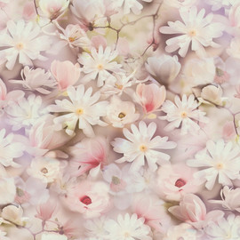 BW51029 Romantic Daisy Motif Blooming Wild Pink, Lilac and White Wallpaper By Galerie