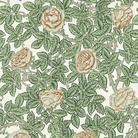 217208 Rambling Rose Emery Walker's House Leafy Arbour and Pearwood Wallpaper by Morris & Co