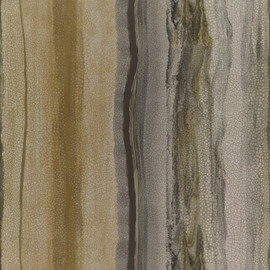 112065 Vitruvius Colour 4 Gold and Basalt Wallpaper by Harlequin
