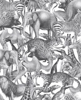 105474 Kingdom Curiosity Wallpaper by Graham and Brown 105474 Kingdom Curiosity Wallpaper by Graham and Brown