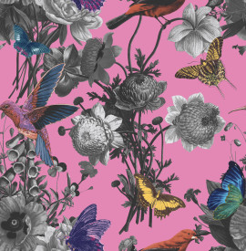 106429 Jardin Magenta Curiosity Wallpaper by Graham and Brown 106429 Jardin Magenta Curiosity Wallpaper by Graham and Brown