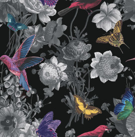 106431 Jardin Black Curiosity Wallpaper by Graham and Brown 106431 Jardin Black Curiosity Wallpaper by Graham and Brown