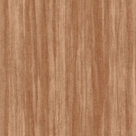 NICA85982525 Woods Eucalyptus Nicaragua Wallpaper by Casadeco