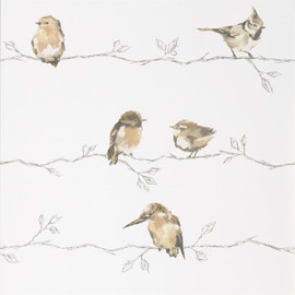 111484 Persico Standing Ovation Wallpaper by Harlequin