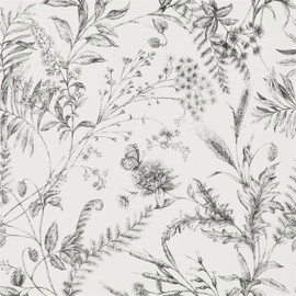 PRL710/04 Fern Toile Signature Florals Etched Black Wallpaper by Ralph Lauren