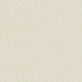 2231633 Grainy Essential Textures Wallpaper by Today Interiors