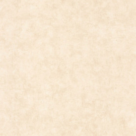 BTO101481123 Beton Uni Beton 2 Wallpaper By Caselio