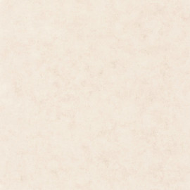 BTO101481002 Beton Uni Beton 2 Wallpaper By Caselio