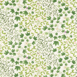 227073 Sycamore & Oak Arboretum Botanical Green Fabric by Sanderson 227073 Sycamore & Oak Arboretum Botanical Green Fabric by Sanderson