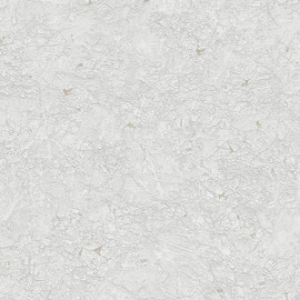 10302-31 Focus Wallpaper By Erismann