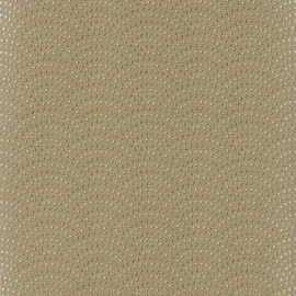 J8014-06 Sunstone Azzura Taupe Wallpaper By Jane Churchill