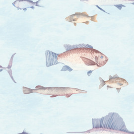 DYW0002 Aquatic Discovery Teal Wallpaper By Sketch Twenty 3