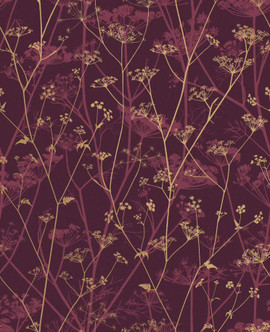 120397 Wild Chervil Wallpaper by Clarissa Hulse 120397 Wild Chervil Wallpaper by Clarissa Hulse