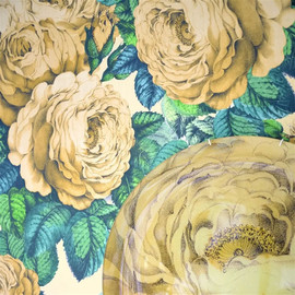 PJD6002/01 The Rose Picture Book Papers Sepia Wallpaper by John Derian