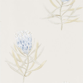 216327 Protea Flower Art Of The Garden Wallpaper By Sanderson