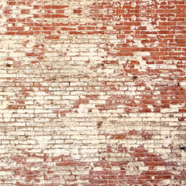 Poetic Wall Pimp My Wall Wallpanel By Caselio Poetic Wall Pimp My Wall Wallpanel By Caselio