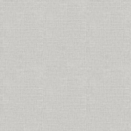 299307 Luxury Plain Soft Silver Wallpaper By Arthouse