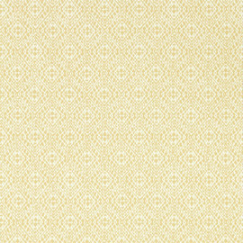 DLMW216907 ( 216907 ) Pinjara Trellis Littlemore Wallpaper by Sanderson