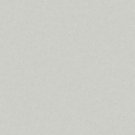 38703 Kim Borosan Bas Neutral Grey Wallpaper by Borastapeter