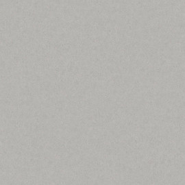 38704 Kim Borosan Bas Grey Wallpaper by Borastapeter