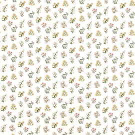 F1736/01 Leiden Secret Garden Blush/Ochre Clarke & Clarke Fabric