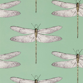 113145 Demoiselle Idyllic Seaglass/First Light/Sand Wallpaper by Harlequin 113145 Demoiselle Idyllic Seaglass/First Light/Sand Wallpaper by Harlequin