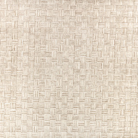 ZW145/01 Pyrite Spacedust Mineralogy Wallpaper by Zinc Textile