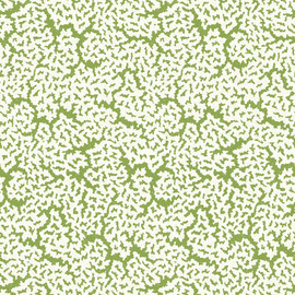 T42041 Maldives Sojourn Green Wallpaper by Thibaut T42041 Maldives Sojourn Green Wallpaper by Thibaut