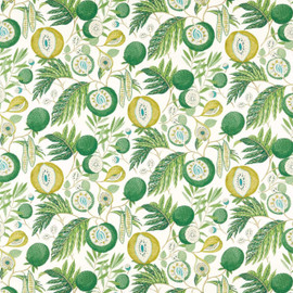 226935 Jackfruit Indoor Outdoor Prints Botanical Green Fabric by Sanderson 226935 Jackfruit Indoor Outdoor Prints Botanical Green Fabric by Sanderson