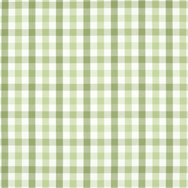 AW15145 Saybrook Check Antilles Green Fabric by Anna French