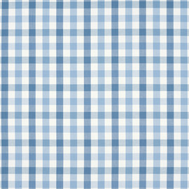 AW15147 Saybrook Check Antilles Light Blue Fabric by Anna French