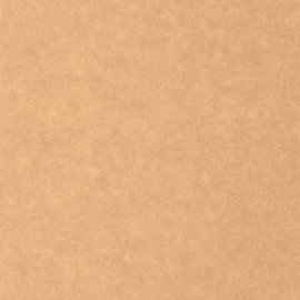 CER105243000 Uni Mat Ceramique Wallpaper by Caselio