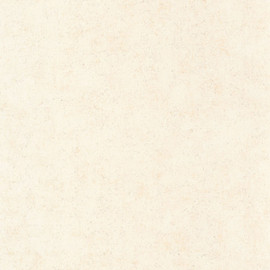 SENT88091138 Mur A La Chaux Sentier Des Dunes Wallpaper by Casadeco