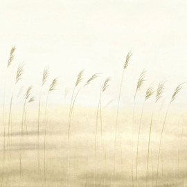 SENT200082705 Jonc Des Dunes Small Panel Sentier Des Dunes Wallpaper by Casadeco SENT200082705 Jonc Des Dunes Small Panel Sentier Des Dunes Wallpaper by Casadeco