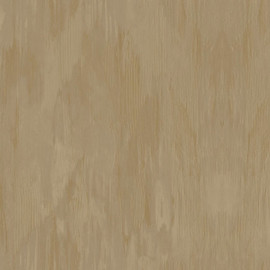 PH49705 Panthera Wallpaper by Today Interiors