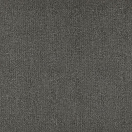 F1416/03 Acies Purus Charcoal Fabric by Clarke and Clarke