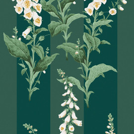 130311 Foxglove Stripe Concerto Teal Wallpaper By Graham & Brown