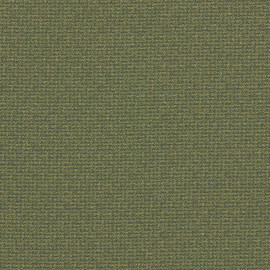 F1569/05 Malone Burlington Moss Fabric by Clarke and Clarke
