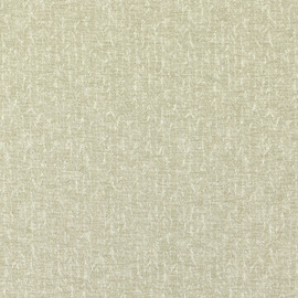 F1529/05 Tierra Eco Linen Fabric by Clarke and Clarke