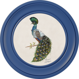 Happy Hour Bruce on Chalk White Framed Art Prints by Brand McKenzie