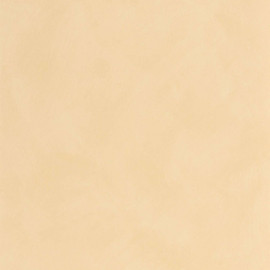 CLK106081120 Uni Mat Chalk Wallpaper by Caselio CLK106081120 Uni Mat Chalk Wallpaper by Caselio