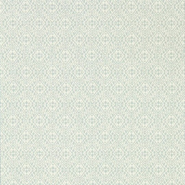 216789 Pinjara Trellis Blue Clay Caspian Wallpaper by Sanderson