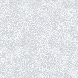 G67461 Cheetah Print Wallpaper