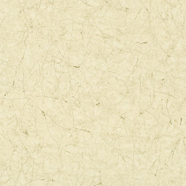 32802 Cracked Texture Perfecto 2 Wallpaper by Galerie 32802 Cracked Texture Perfecto 2 Wallpaper by Galerie