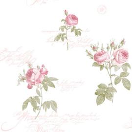 CG28820 Rose Garden Wallpaper by Galerie