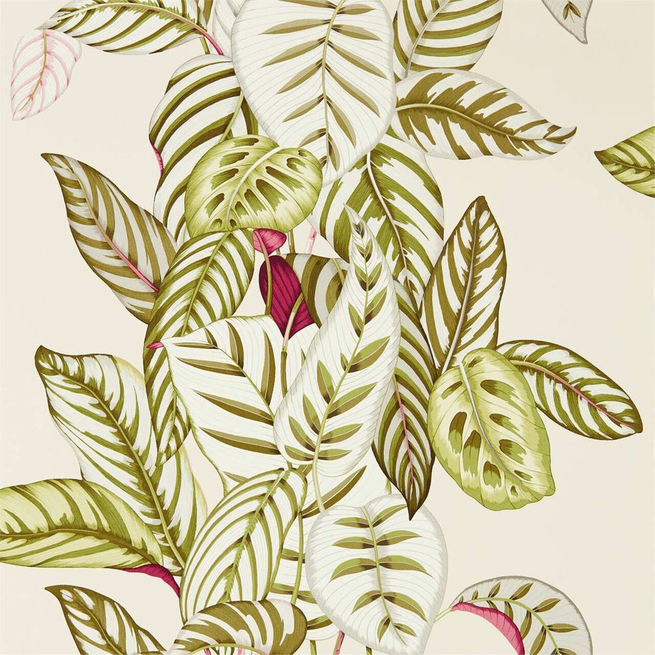 216631 Calathea Glasshouse Wallpaper By Sanderson