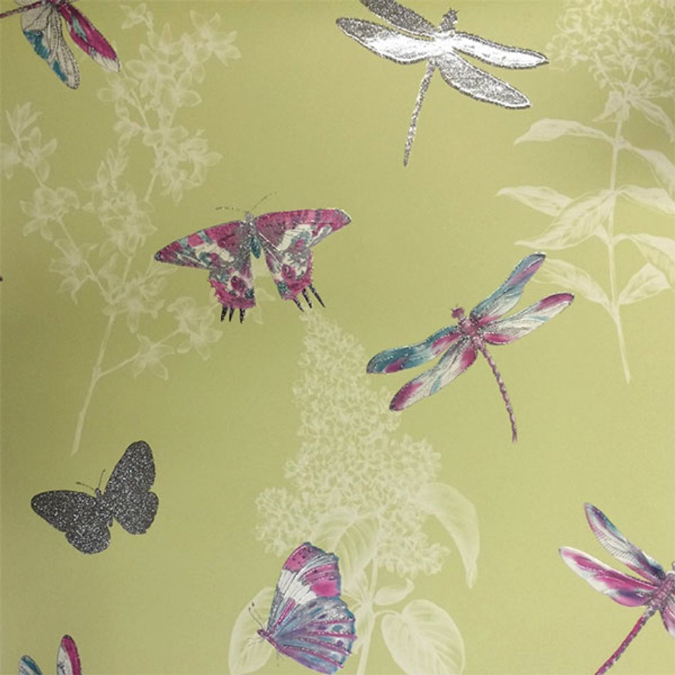 664900 Wings Enchantment Imagine Wallpaper by Arthouse