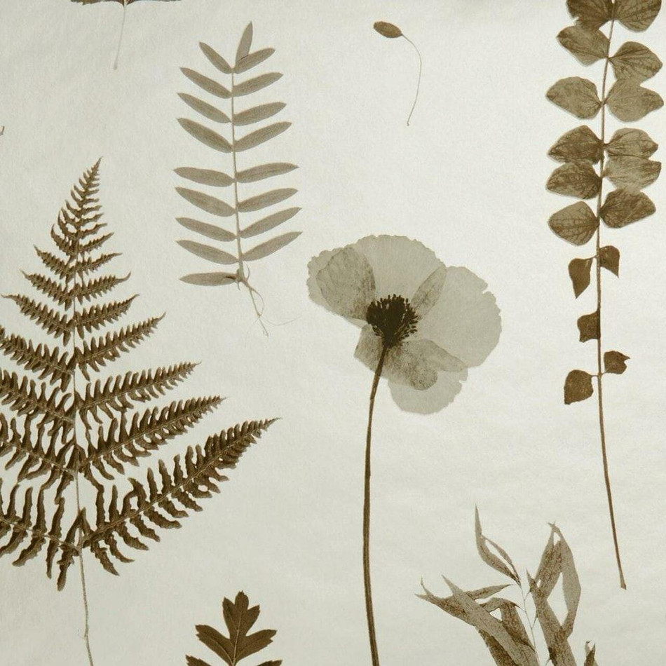 W0091/02 Herbarium Botanica Wallpaper By Clarke & Clarke