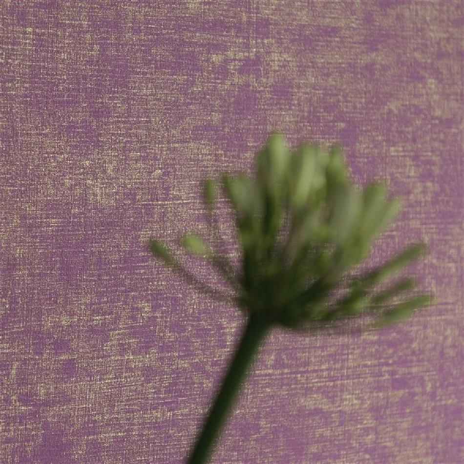 P604/20 Cerato Contarini Wallpaper by Designers Guild